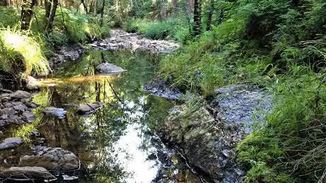 Dreilägerbach mit Vorbecken und Steinbach