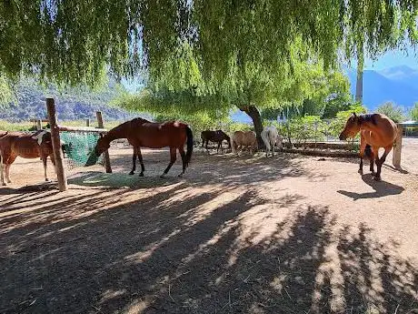 Photo de Reitsportanlage Cavallo