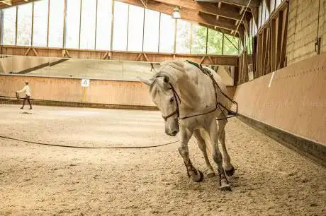 Photo de Manège de VandÅ“uvres