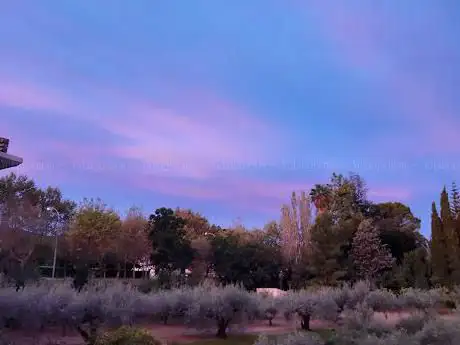 Photo de Parc de les Boles