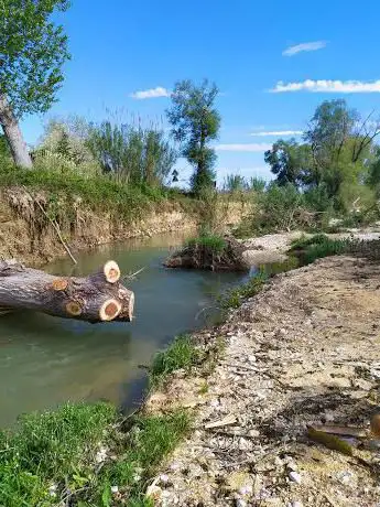 Photo de Ciclabile foro