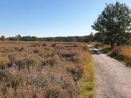 Photo de Oude Buisse Heide