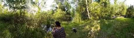 Photo de Parco delle Terme Romane