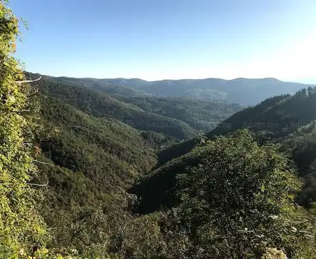 Photo de Falesia Tre Fonti