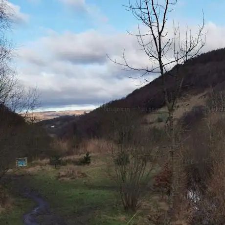 Tirpentwys Nature Reserve