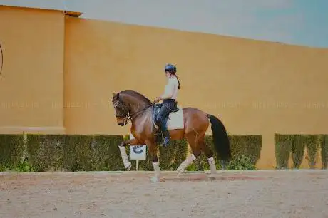 Photo de Escuela de Equitación Antonio Sánchez