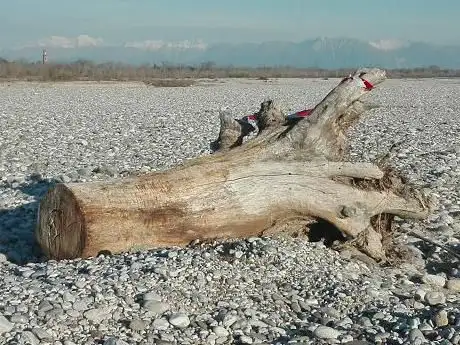 Photo de San Martino al Tagliamento