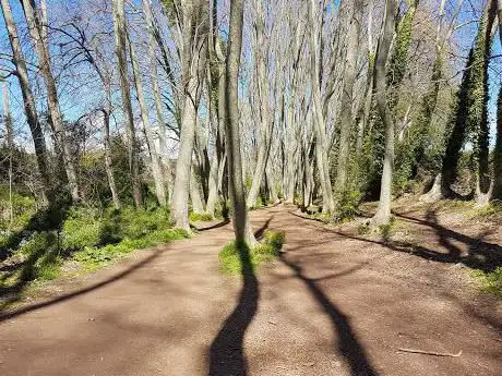 Photo de Camà de Gallecs a Mollet