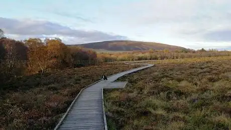 Photo de Red Moss Nature Reserve