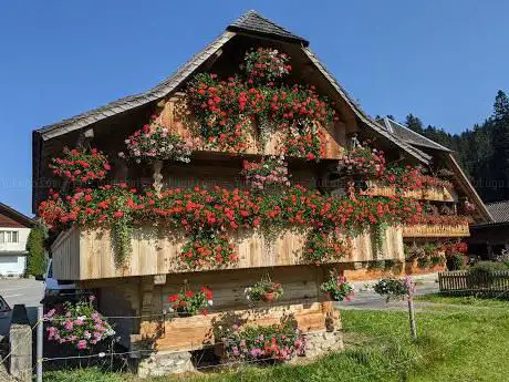 Photo de Meerschweinchen-ranch