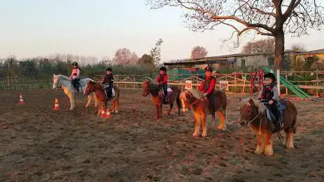 Photo de Centro Ippico F.M. Team Horses