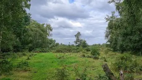 Photo de Ancells Farm Nature Reserve