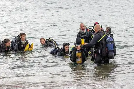Photo de Fin Divers Ltd