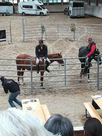 Reithalle Fehraltorf