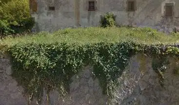 The Bac of Collsacabra