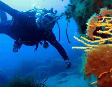 Ogliastra Diving & Windsurfing