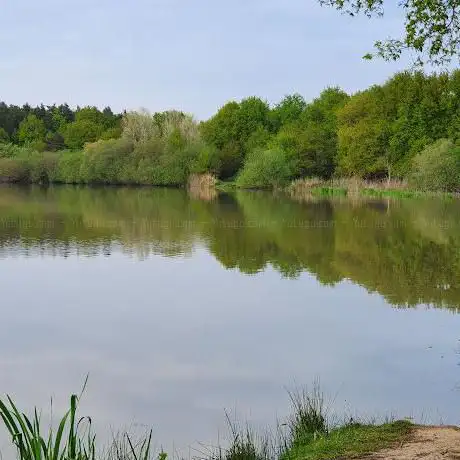Photo de Aire De Jeux De L Etang Des Aisses