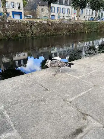 Photo de Observatoire Aquatique
