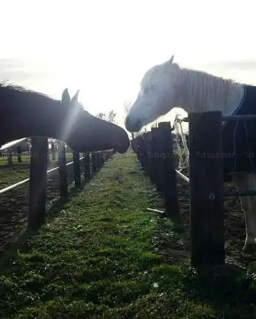 Photo de La Baglina Horse Club