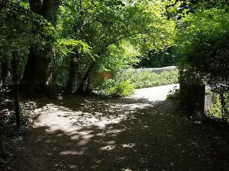 Photo de Lower Flexford Nature Reserve