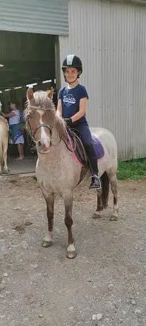 Photo de Dittiscombe Equestrian Centre