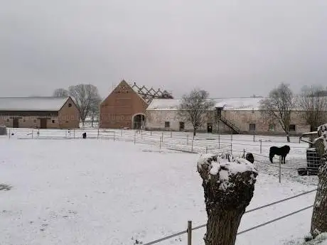 La Jambette ASBL (Centre d'hippothérapie et d'équitation adaptée)