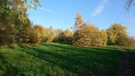 Photo de Marston Lane Meadows