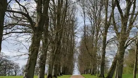 Photo de Tusmore Park