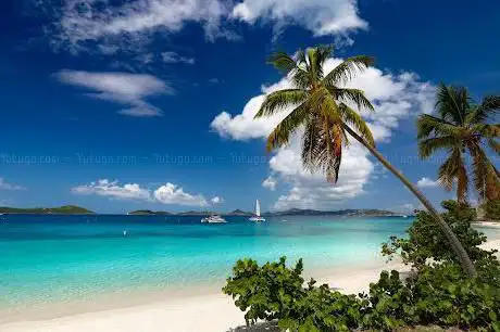 Photo de TRAVEL CLUB MED