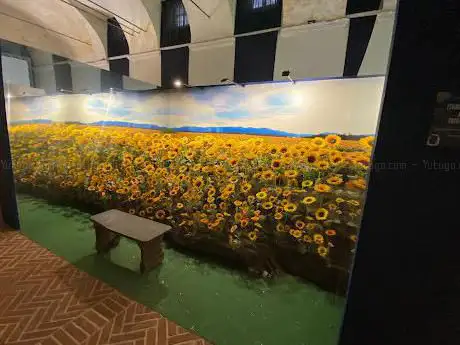 Van Gogh Experience