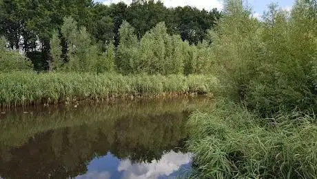 Photo de Calisthenics Park Moerenburg