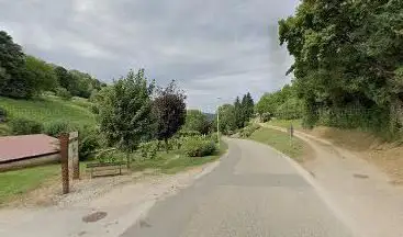 Les cépages du Jura