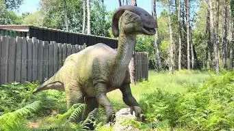 Photo de Dinosaures Parc