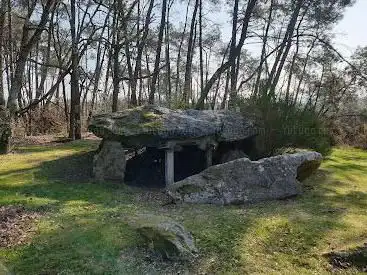 Photo de Dolmen Tablette de Cournon