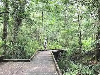 Photo de Great Dismal Swamp National Wildlife Refuge