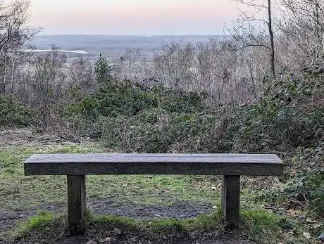View Point
