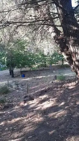 Parco delle ciliegie (parte del Parco di Montegrillo)