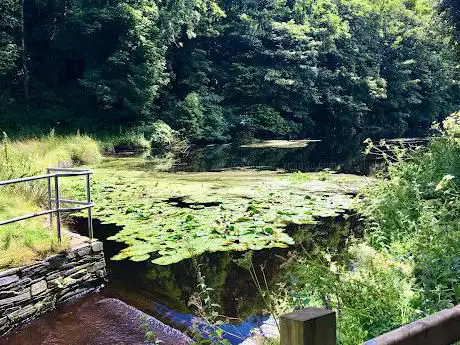 Photo de BISHOP'S GATE - The National Trust