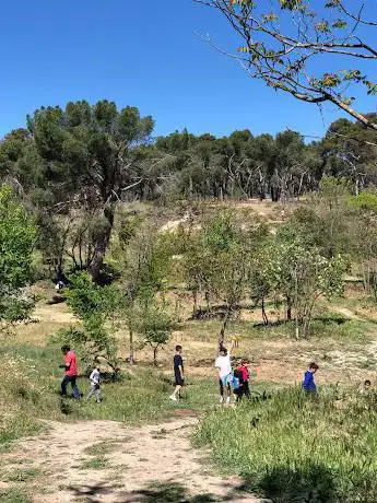 Photo de Campo de Disc Golf - Universidad Complutense DG Course
