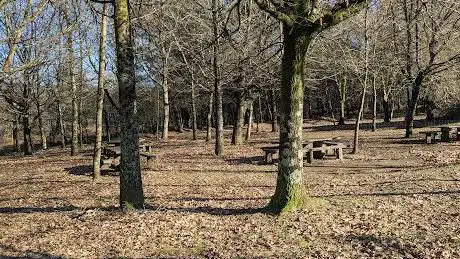 Photo de forestal Chan das Pipas Park