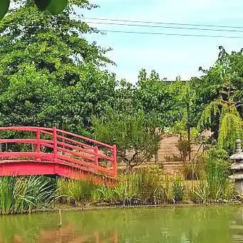 Photo de méditation Garden