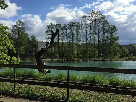 Photo de Le Petit Train du Parc de la Tête d'Or