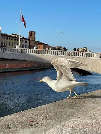 PANORAMA LUNGARNO