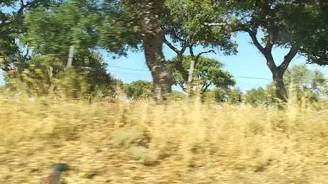 Parco naturale