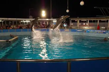 Photo de Ex Delfinario Rimini