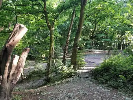 Quarry