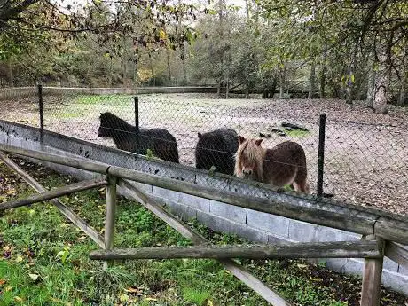 Photo de Parque Botânico e Zoológico da Quinta do Rebentão