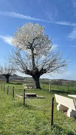 Double Tree