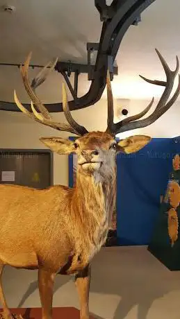 Photo de Museo di Storia Naturale