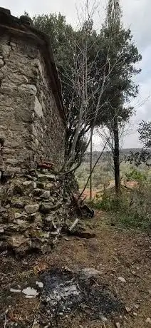 Photo de Chiesa dei SS. Fabiano e Sebastiano